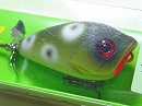 Devil frog