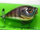 Blue gill