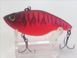 Fujiki tiger