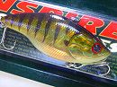 Half skeleton blue gill (#405)