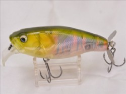 2004 PainterNet custom color