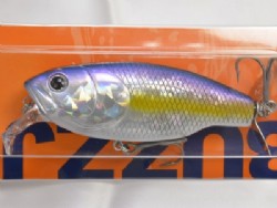 American shad (#75)