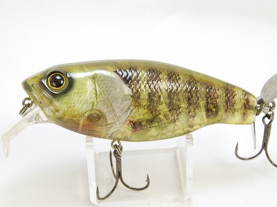 Real blue gill (#01)