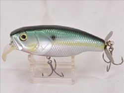 Sexy shad