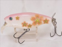 Sakura (2008 Limited color)