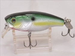 Sexy shad