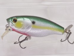 Sexy shad