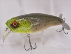 Member limited (2018 member limited model)