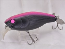 Visible black (2019 member limited model)