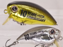 10th Anniversay model