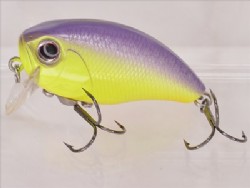 Chart purple back