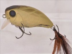 Cicada magic