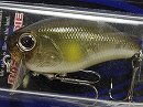 Clear ayu