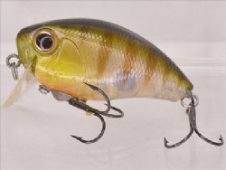 DM sunfish