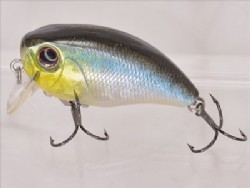 Ice shad