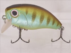Mat gill