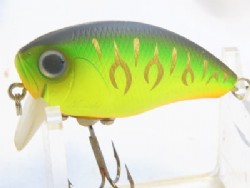 Mat tiger (Gold striped)