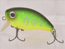 Mat tiger (Silver striped)