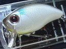 Pearl shad