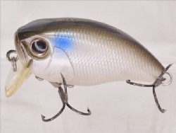 Pearl shad