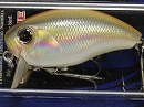 Rainbow shad (Package damaged)