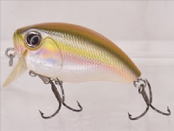 Rainbow shad