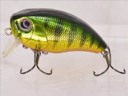 Sun fish tiger