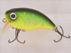 Mat tiger