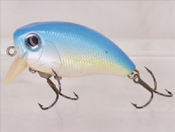 Sky blue shinner