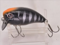 TN black sunfish sight