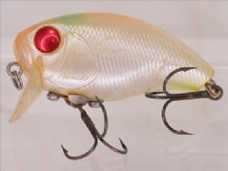 Albino
