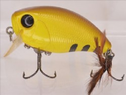 ChiBee-ChiBee