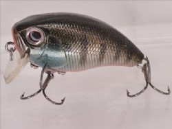Dark gill