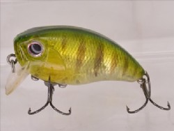 DM sunfish