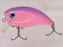 Pinky violet