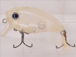 Skeleton