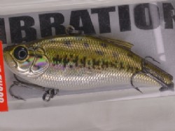 Bass