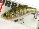 Blue gill