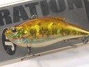 Baby bass