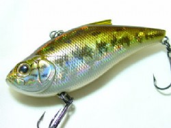 Bass