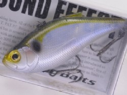 G sledfin shad