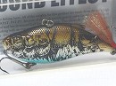 Spawn craw