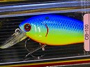 FLS Blue back chart (Custom color)