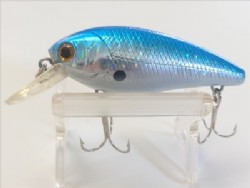 Laser blue zebra