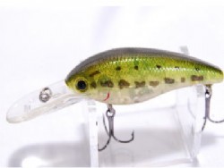 bass