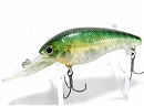 Sun fish