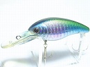 Laser striped shad