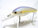 Chartreuse shad