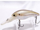 Striped shad