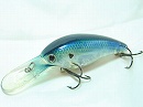 Tennessee shad